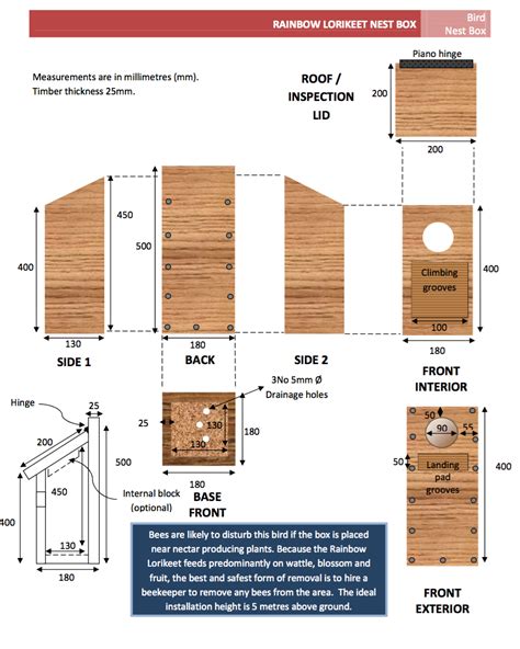 lorikeet nesting box plans